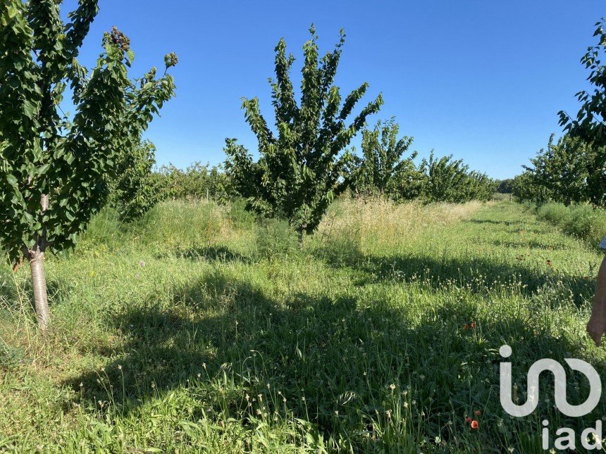 Agricultural land of 11,285 m² in Saint-Just (34400)