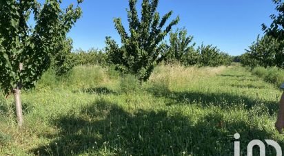 Terrain agricole de 11 285 m² à Saint-Just (34400)