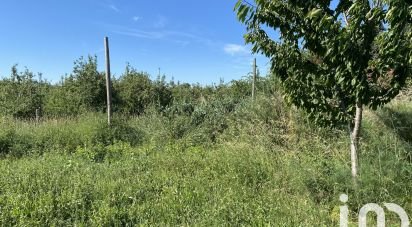 Farm land of 11,285 m² in Saint-Just (34400)