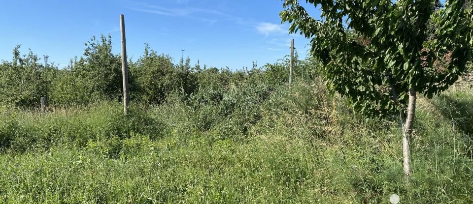 Agricultural land of 11,285 m² in Saint-Just (34400)