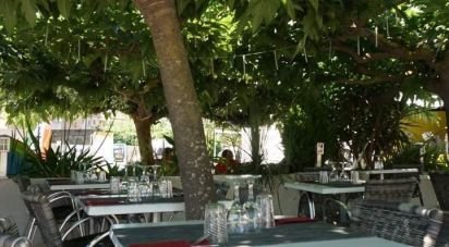 Restaurant of 127 m² in MARSEILLAN PLAGE (34340)