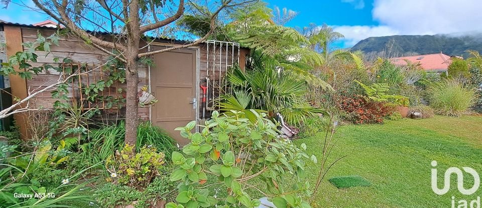 Maison traditionnelle 7 pièces de 214 m² à La Plaine-des-Palmistes (97431)