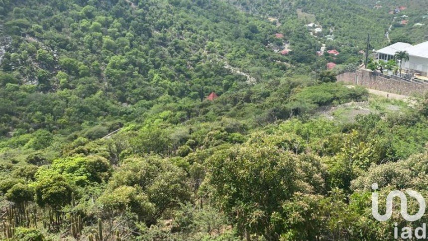 Terrain Loisirs de 2 492 m² à Saint-Barthélemy (97133)