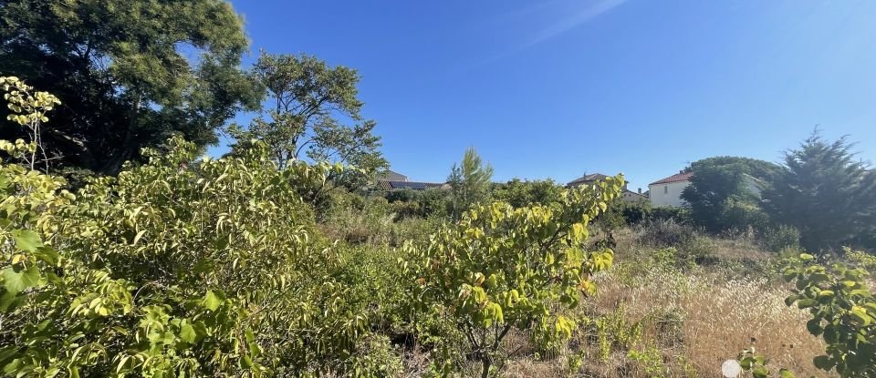 Terrain de 1 045 m² à Pépieux (11700)