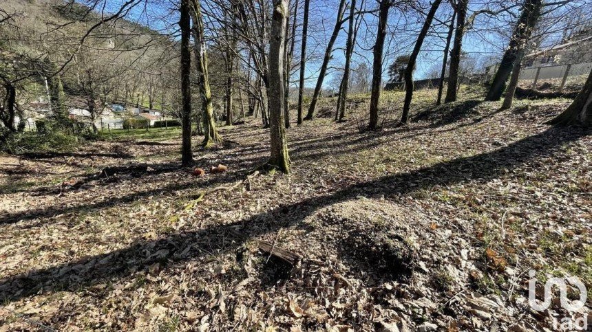 Terrain de 800 m² à - (24660)