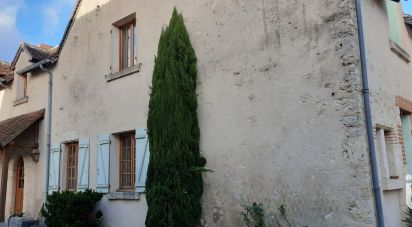 Maison 7 pièces de 181 m² à Saint-Denis-sur-Loire (41000)