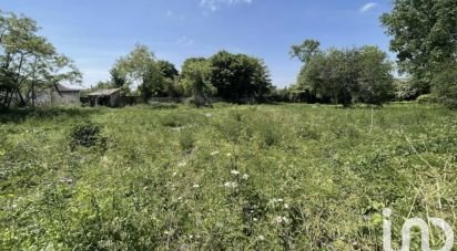 Terrain de 4 729 m² à Saint-Ciers-sur-Gironde (33820)