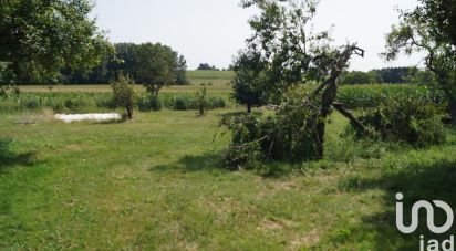 Terrain de 800 m² à Yvré-le-Pôlin (72330)