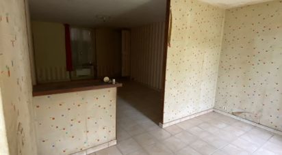 Maison 12 pièces de 244 m² à Lavaveix-les-Mines (23150)