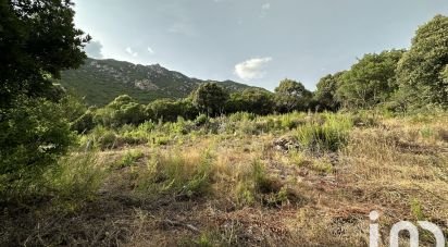 Terrain de 9 455 m² à Ocana (20117)