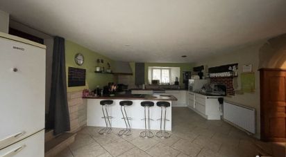 Maison 6 pièces de 248 m² à Ainvelle (88320)