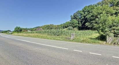 Land of 2,766 m² in Gotein-Libarrenx (64130)