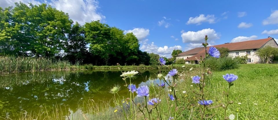 Country house 10 rooms of 296 m² in Vahl-lès-Bénestroff (57670)