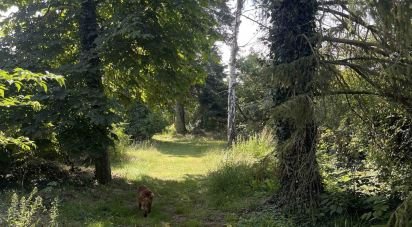 Terrain de 1 615 m² à Saint-Pierre-lès-Nemours (77140)