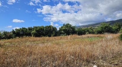 Terrain de 401 m² à Saint-Denis (97490)