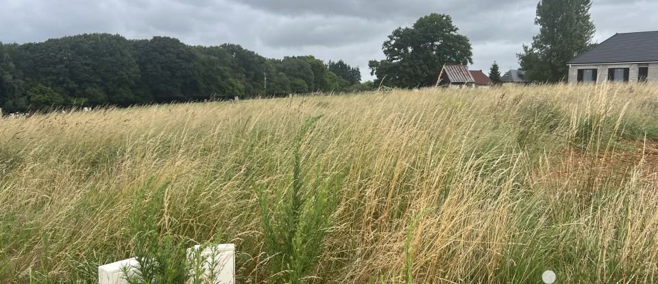 Terrain de 1 000 m² à Gruchet-le-Valasse (76210)