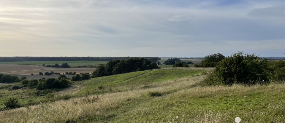 Maison de village 4 pièces de 88 m² à Boissy-le-Châtel (77169)