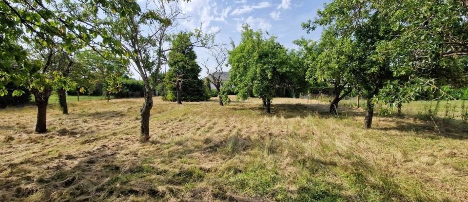 House 5 rooms of 105 m² in Saint-Benoît-sur-Loire (45730)