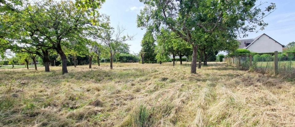 House 5 rooms of 105 m² in Saint-Benoît-sur-Loire (45730)