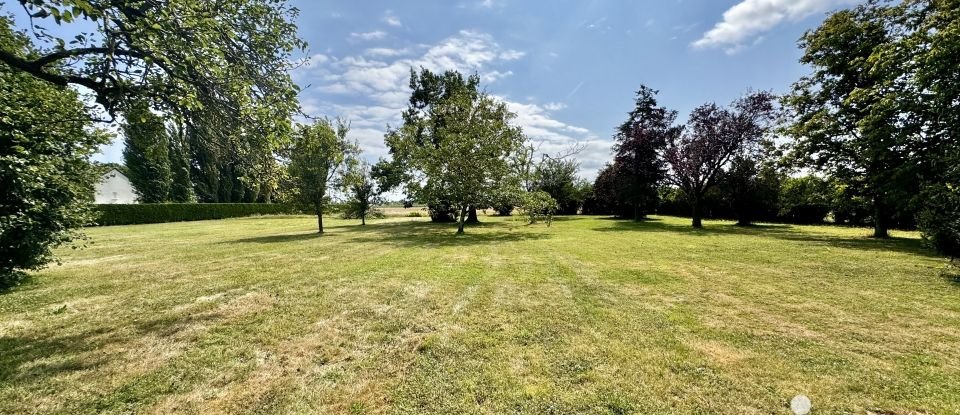 Maison 5 pièces de 102 m² à SAINT-MATHURIN-SUR-LOIRE (49250)