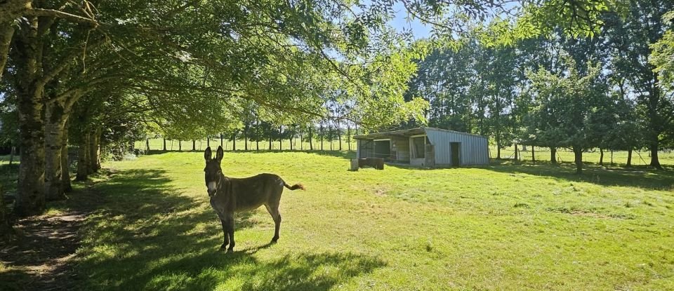 Maison 7 pièces de 170 m² à Sommery (76440)