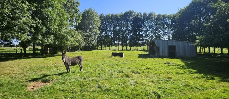 Maison 7 pièces de 170 m² à Sommery (76440)