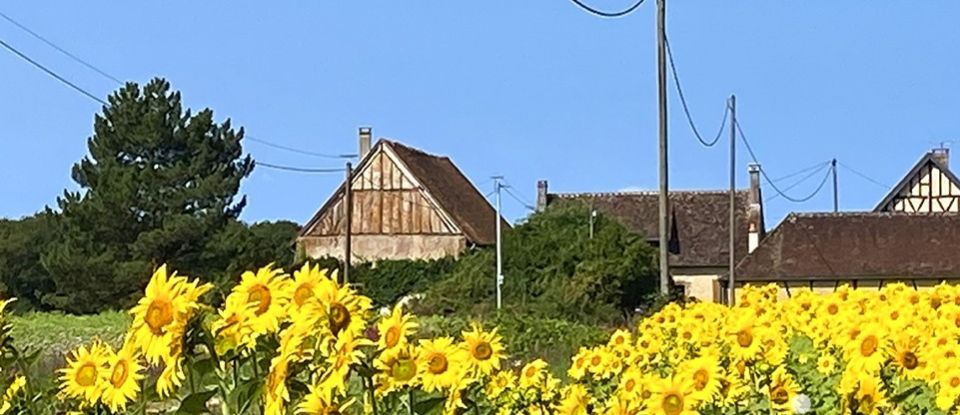 Maison de campagne 8 pièces de 213 m² à Tannerre-en-Puisaye (89350)