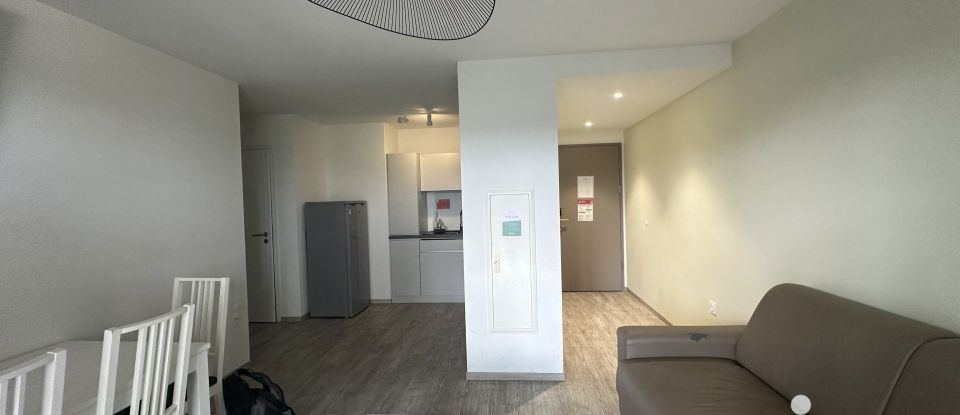 Appartement 3 pièces de 57 m² à Blotzheim (68730)