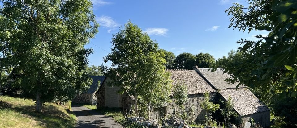 Maison traditionnelle 7 pièces de 100 m² à Fau-de-Peyre (48130)