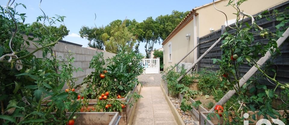 Maison 3 pièces de 111 m² à Luc-sur-Orbieu (11200)