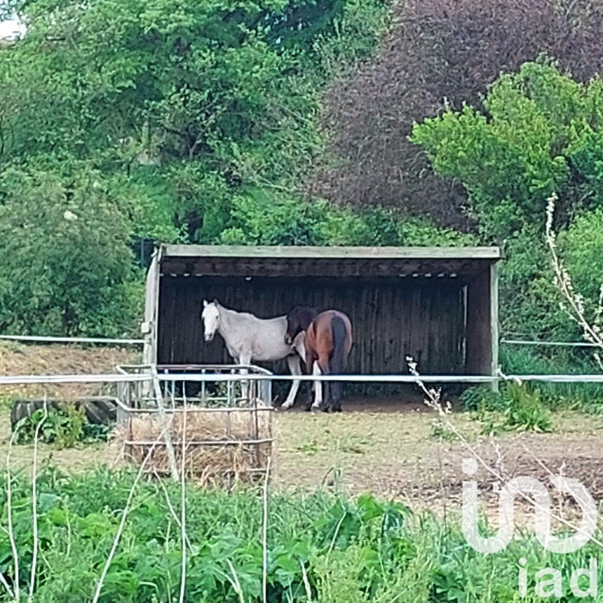 Equestrian facility 6 rooms of 110 m² in Vinneuf (89140)