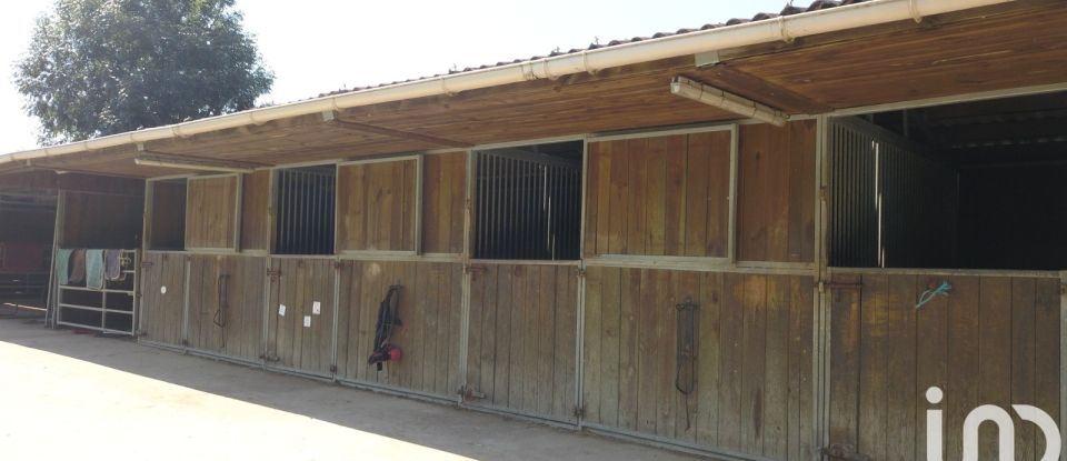 Equestrian facility 6 rooms of 110 m² in Vinneuf (89140)