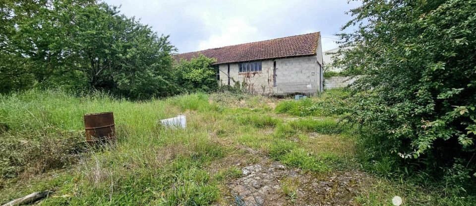 Maison de campagne 6 pièces de 212 m² à La Celle-Saint-Cyr (89116)