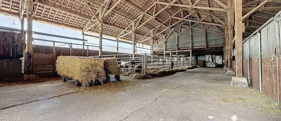 Equestrian facility 5 rooms of 800 m² in Villers-en-Argonne (51800)