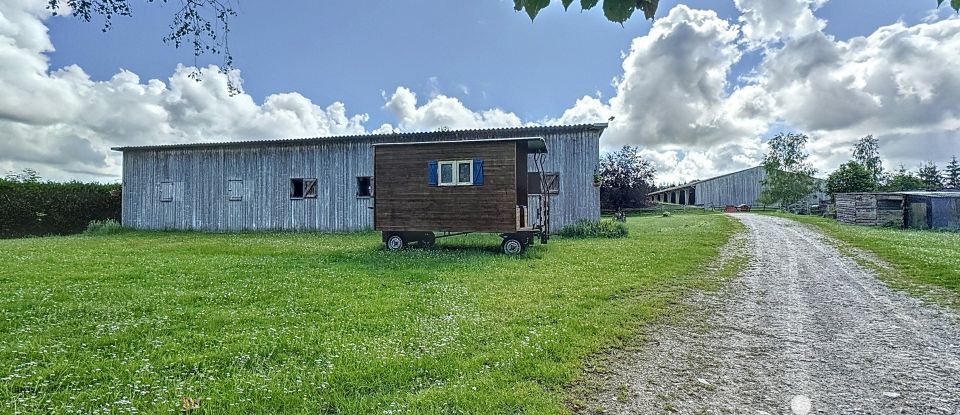 Equestrian facility 5 rooms of 800 m² in Villers-en-Argonne (51800)