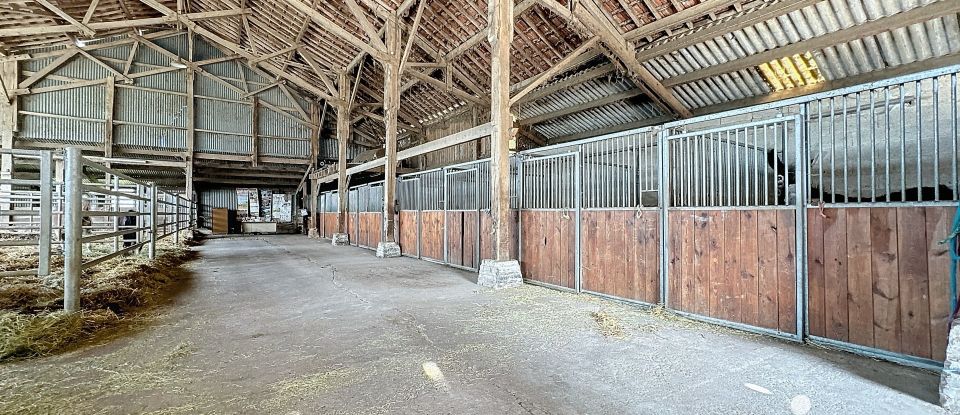 Equestrian facility 5 rooms of 800 m² in Villers-en-Argonne (51800)