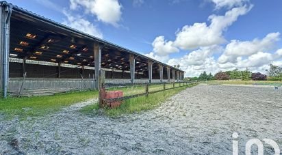 Equestrian facility 5 rooms of 800 m² in Villers-en-Argonne (51800)