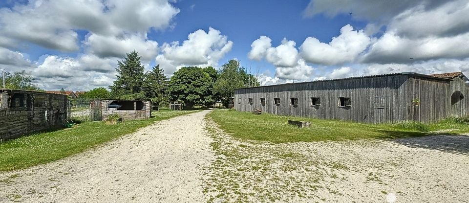 Equestrian facility 5 rooms of 800 m² in Villers-en-Argonne (51800)