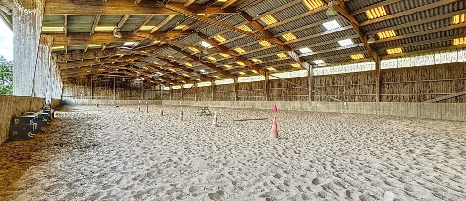 Equestrian facility 5 rooms of 800 m² in Villers-en-Argonne (51800)