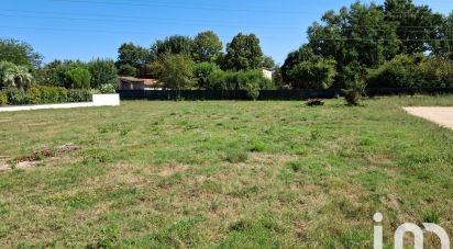 Terrain de 1 038 m² à Montauban (82000)