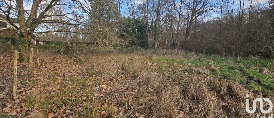 Terrain de 3 650 m² à Les Bordes (45460)