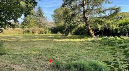 Terrain de 1 155 m² à Saint-Dolay (56130)