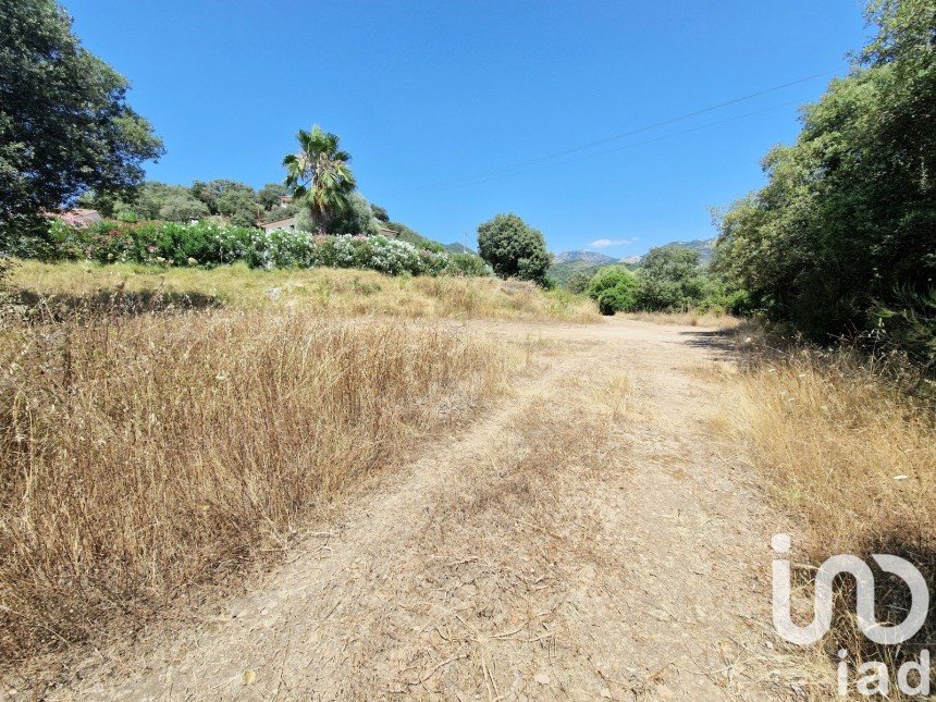 Terrain de 2 400 m² à Ocana (20117)