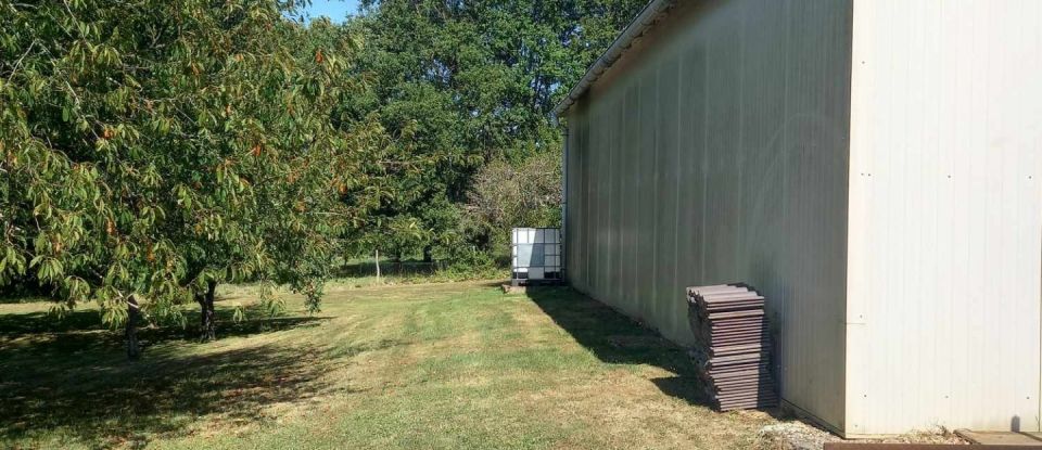 Maison 1 pièce de 150 m² à Belleville-sur-Loire (18240)