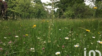 Terrain de 721 m² à Romagny (68210)