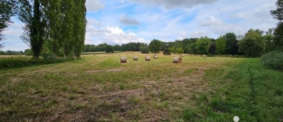 Maison de campagne 9 pièces de 320 m² à Gréez-sur-Roc (72320)