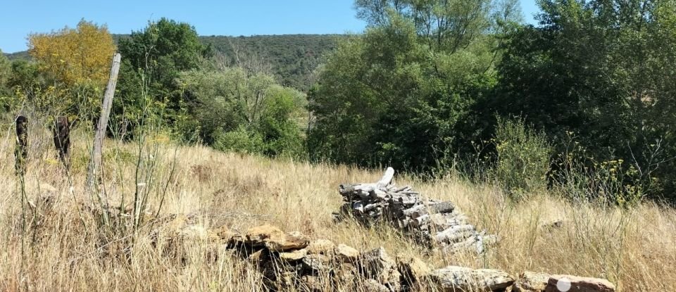 Terrain de 3 991 m² à Rouffiac-des-Corbières (11350)