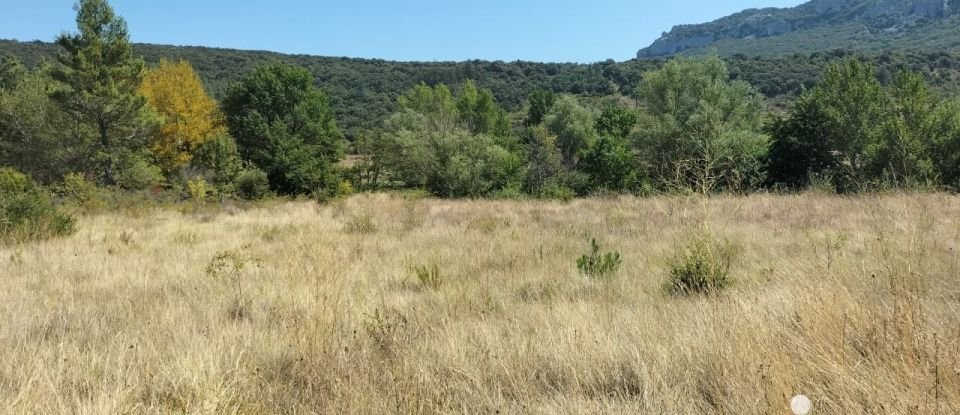 Terrain de 3 991 m² à Rouffiac-des-Corbières (11350)