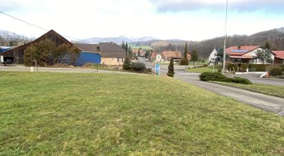 Land of 1,061 m² in Le Haut Soultzbach (68780)