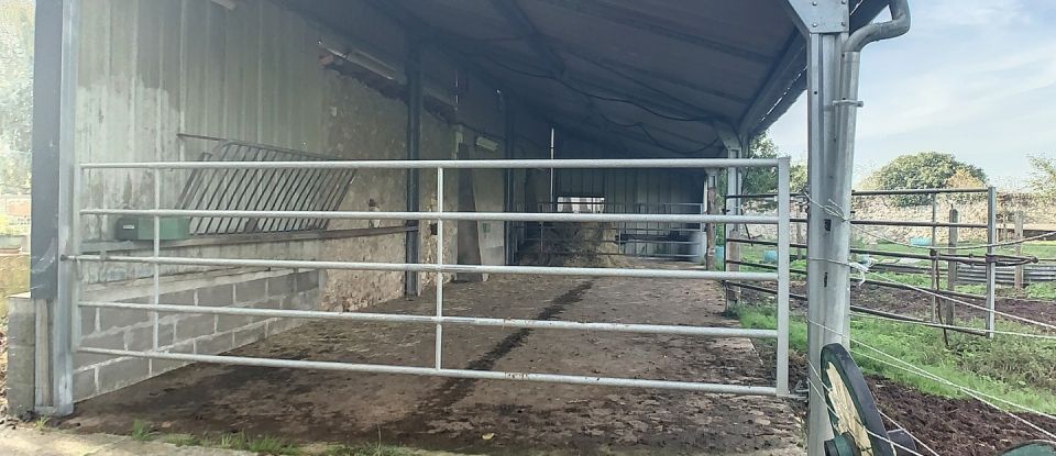 Ferme 8 pièces de 300 m² à Sorigny (37250)